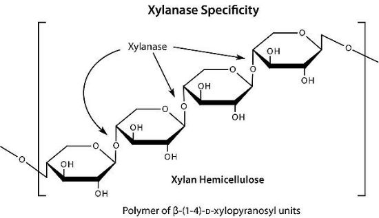 图片 崩溃酶来源于担子菌属，Driselase™ Basidiomycetes sp.；BioReagent, suitable for plant cell culture