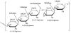 图片 崩溃酶来源于担子菌属，Driselase™ Basidiomycetes sp.；BioReagent, suitable for plant cell culture