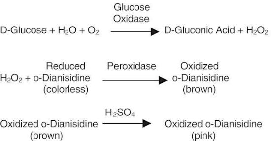 图片 葡萄糖氧化酶来源于黑曲霉，Glucose Oxidase from Aspergillus niger [G.Od., GOx]；Type X-S, lyophilized powder, 100,000-250,000 units/g solid (without added oxygen)