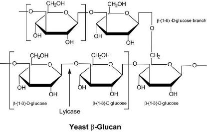 图片 溶壁酶来源于藤黄节杆菌，Lyticase from Arthrobacter luteus；lyophilized powder, ≥2,000 units/mg protein, Protein ≥20 % by biuret