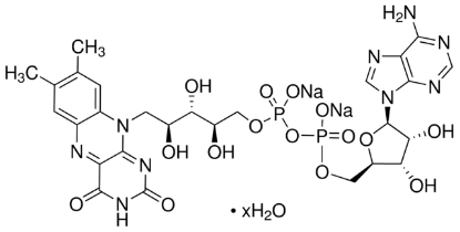 图片 黄素腺嘌呤二核苷酸二钠盐水合物，Flavin adenine dinucleotide disodium salt hydrate [FAD-Na2]；suitable for cell culture, BioReagent, ≥95%