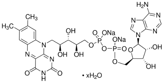 图片 黄素腺嘌呤二核苷酸二钠盐水合物，Flavin adenine dinucleotide disodium salt hydrate [FAD-Na2]；suitable for cell culture, BioReagent, ≥95%