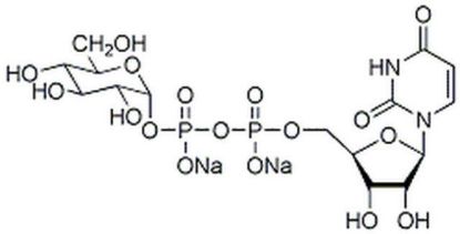 图片 尿苷二磷酸-α-D-葡萄糖二钠盐，UDP-α-D-Glucose, Disodium Salt [UDPG, UDP-GLC]；	≥80% (enzymatic)
