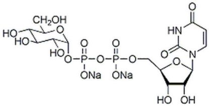 图片 尿苷二磷酸-α-D-葡萄糖二钠盐，UDP-α-D-Glucose, Disodium Salt [UDPG, UDP-GLC]；≥80% (enzymatic)