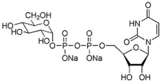 图片 尿苷二磷酸-α-D-葡萄糖二钠盐，UDP-α-D-Glucose, Disodium Salt [UDPG, UDP-GLC]；≥80% (enzymatic)