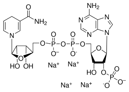 图片 还原型辅酶II四钠盐 [β-NADPH Na4]，β-Nicotinamide adenine dinucleotide 2′-phosphate reduced tetrasodium salt hydrate；≥93% (HPLC)