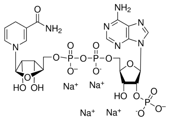 图片 还原型辅酶II四钠盐 [β-NADPH Na4]，β-Nicotinamide adenine dinucleotide 2′-phosphate reduced tetrasodium salt hydrate；powder, =97% (dry weight)