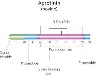 图片 抑肽酶来源于牛肺，Aprotinin from bovine lung [BPTI]；≥95%