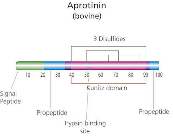 图片 抑肽酶来源于牛肺，Aprotinin from bovine lung [BPTI]；≥95%