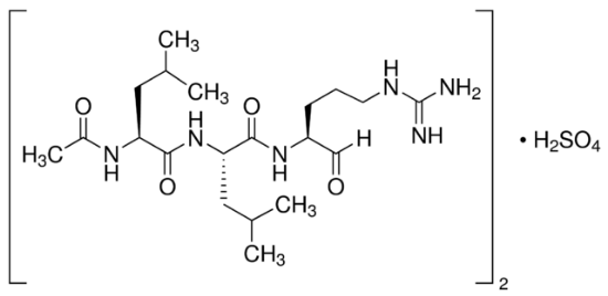 图片 亮肽素 [亮抑酶肽, 亮抑酶酞]，Leupeptin [Acetyl-Leu-Leu-Arg-al]；synthetic, ≥85% (HPLC)