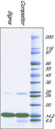 图片 细胞色素C来源于马心脏，Cytochrome c from equine heart；BioUltra, ≥99% (SDS-PAGE)