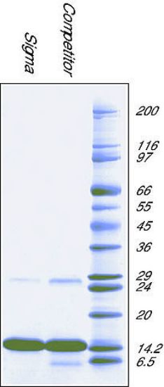 图片 细胞色素C来源于马心脏，Cytochrome c from equine heart；BioUltra, ≥99% (SDS-PAGE)