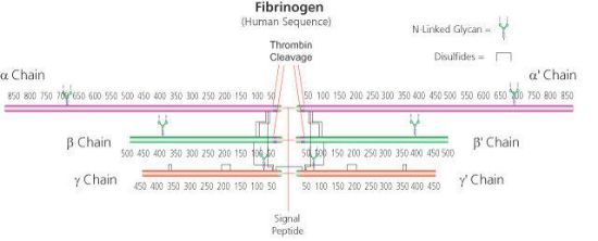 图片 牛纤维蛋白原，Fibrinogen from bovine plasma [Factor I]；65-85% protein (≥75% of protein is clottable)