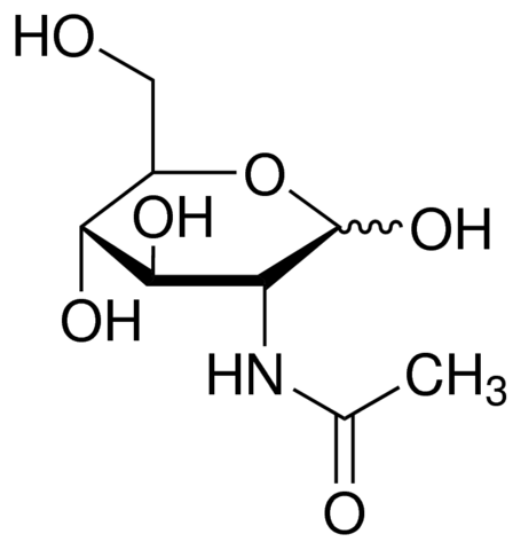 图片 N-乙酰基-D-氨基葡萄糖，N-Acetyl-D-glucosamine [D-GlcNAc]；≥99%