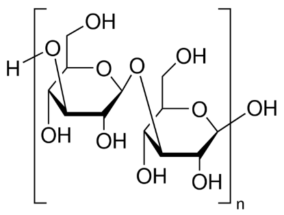 图片 昆布多糖来源于掌状海带，Laminarin from Laminaria digitata；polysaccharide substrate for laminarinase