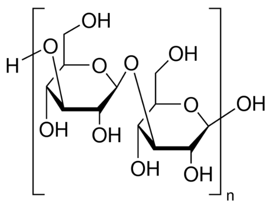 图片 昆布多糖来源于掌状海带，Laminarin from Laminaria digitata；polysaccharide substrate for laminarinase