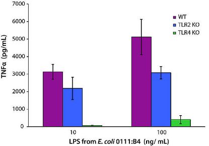 图片 脂多糖来源于大肠杆菌0111:B4；Lipopolysaccharides from Escherichia coli O111:B4 [LPS]；purified by ion-exchange chromatography, TLR ligand tested