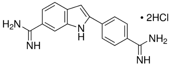 图片 4',6-二脒基-2-苯基吲哚二盐酸盐，4′,6-Diamidino-2-phenylindole dihydrochloride [DAPI]；for nucleic acid staining, ≥98% (HPLC and TLC)