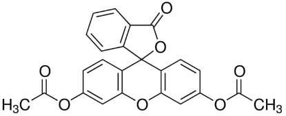 图片 荧光素二乙酸盐 [二乙酸荧光素]，Fluorescein diacetate [FDA]；used as cell viability stain