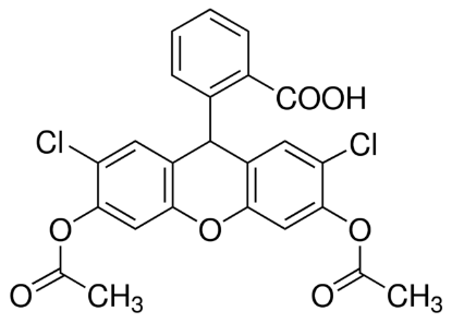 图片 2',7'-二氯荧光素二乙酸酯，2′,7′-Dichlorofluorescin diacetate；≥97%