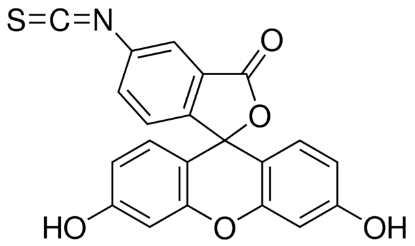 图片 异硫氰酸荧光素异构体I [FITC]，Fluorescein isothiocyanate isomer I；≥97.5% (HPLC)