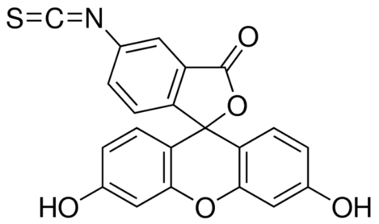 图片 异硫氰酸荧光素 [5(6)-异构体混合物]，Fluorescein 5(6)-isothiocyanate [FITC]；≥90% (HPLC)