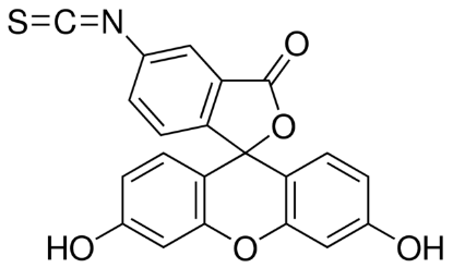 图片 异硫氰酸荧光素 [5(6)-异构体混合物]，Fluorescein 5(6)-isothiocyanate [FITC]；BioReagent, suitable for fluorescence, mixture of 2 components, ≥90% (HPLC)