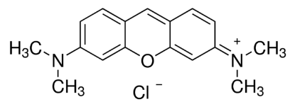 图片 派洛宁Y，Pyronin Y；for NA electrophoresis, Dye content, ≥45%