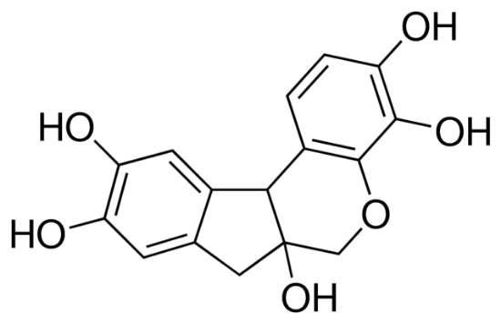 图片 苏木精 [苏木素]，Hematoxylin；certified by the Biological Stain Commission