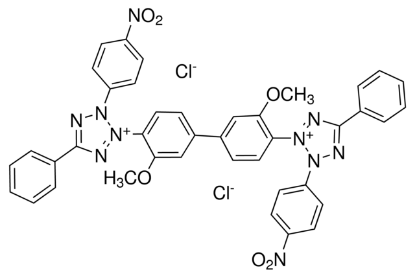 图片 氯化硝基四氮唑蓝 [氯化四唑氮蓝]，Nitrotetrazolium Blue chloride [NBT]；≥90.0% (HPLC)