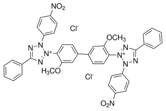 图片 氯化硝基四氮唑蓝 [氯化四唑氮蓝]，Nitrotetrazolium Blue chloride [NBT]；≥90.0% (HPLC)