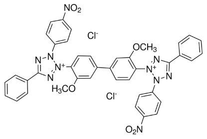 图片 氯化硝基四氮唑蓝 [氯化四唑氮蓝]，Nitrotetrazolium Blue chloride [NBT]；powder, electrophoresis grade, >90%