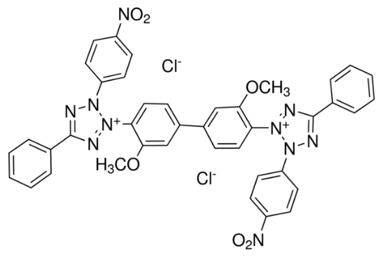 图片 氯化硝基四氮唑蓝 [氯化四唑氮蓝]，Nitrotetrazolium Blue chloride [NBT]；powder, electrophoresis grade, >90%