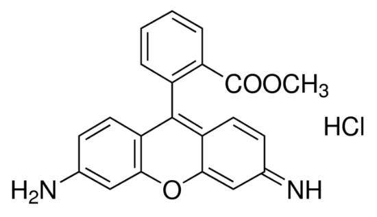 图片 罗丹明123，Rhodamine 123；mitochondrial specific fluorescent dye