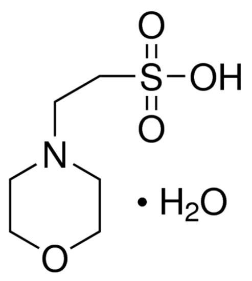 图片 2-吗啉乙磺酸一水合物 [MES一水合物]，MES monohydrate；BioUltra, for molecular biology, ≥99.5% (T)