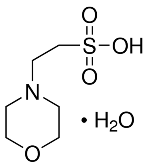 图片 2-吗啉乙磺酸一水合物 [MES一水合物]，MES monohydrate；PharmaGrade, suitable for manufacturing use