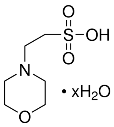 图片 MES水合物，MES hydrate；≥99.5% (titration)