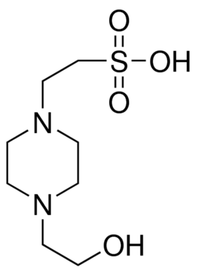 图片 羟乙基哌嗪乙硫磺酸，HEPES；PharmaGrade, Manufactured under appropriate controls for use as a raw material in pharma or biopharmaceutical production, suitable for cell culture