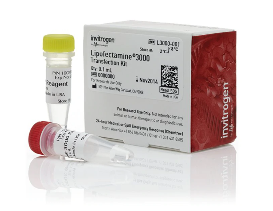 图片 脂质体3000转染试剂，Lipofectamine™ 3000 Transfection Reagent