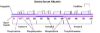 图片 牛血清白蛋白 [BSA]，Bovine Serum Albumin；heat shock fraction, pH 7, ≥98%