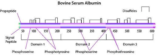 图片 牛血清白蛋白 [BSA]，Bovine Serum Albumin；heat shock fraction, pH 7, ≥98%