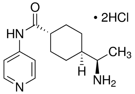 图片 Y27632二盐酸盐，Y-27632 dihydrochloride；≥98% (HPLC)