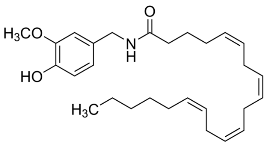 图片 N-香草基戊酰胺，Arvanil；≥98% (HPLC), solution (in ethanol)