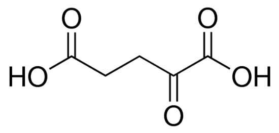 图片 α-酮戊二酸，α-Ketoglutaric acid [α-KG]；≥98.5% (NaOH, titration)