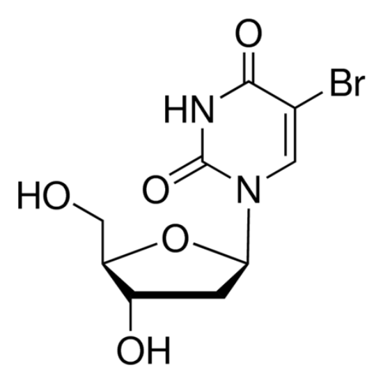 图片 5-溴-2′-脱氧尿苷，5-Bromo-2′-deoxyuridine [5-BrdU, BUdR]；≥99% (HPLC)