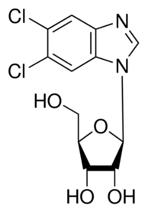 图片 5,6-二氯苯并咪唑1-β-D-核苷，5,6-Dichlorobenzimidazole 1-β-D-ribofuranoside [DRB]；≥98.0%