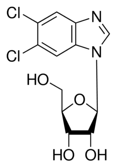 图片 5,6-二氯苯并咪唑1-β-D-核苷，5,6-Dichlorobenzimidazole 1-β-D-ribofuranoside [DRB]；≥98.0%