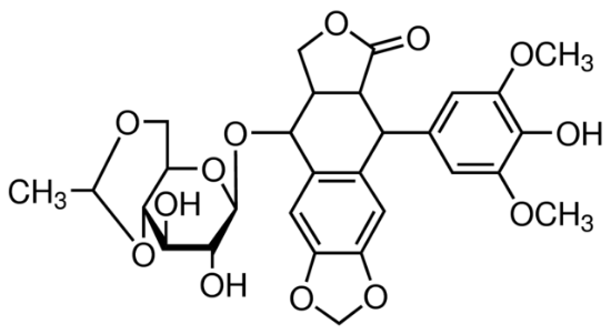 图片 依托泊苷，Etoposide；synthetic, 98.0-105.0%, powder