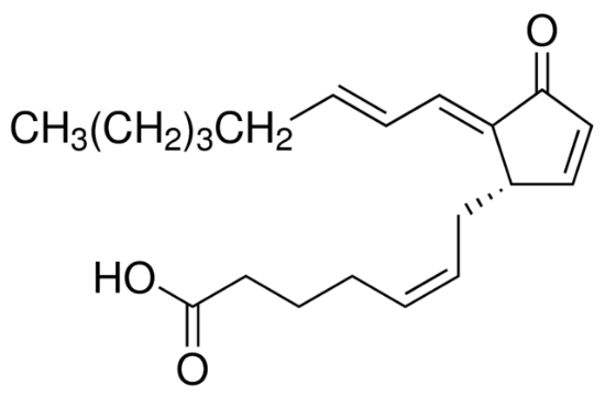 图片 15-脱氧-Δ12,14-前列腺素J2，15-Deoxy-Δ12,14-prostaglandin J2 [14-PGJ2]；≥95% (HPLC), 1 mg/mL in methyl acetate