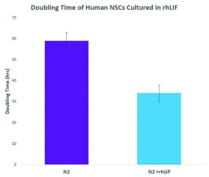 图片 人白血病抑制因子，Leukemia Inhibitory Factor human, animal component free [LIF, rLIF]；recombinant, expressed in rice, 500 μg/mL